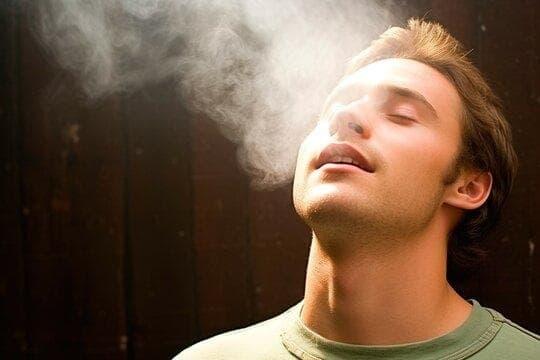 Vape Shop Trends 2025 - Die kiwi e-zigarette im Test, Profi-Tipps und Kaufberatung