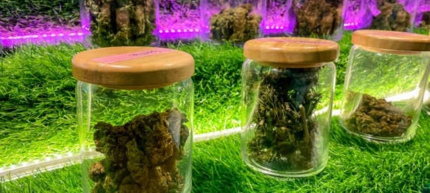 e-dym präsentiert exklusiven e-zigarette shop in münchen hauptbahnhof für e-dym Fans